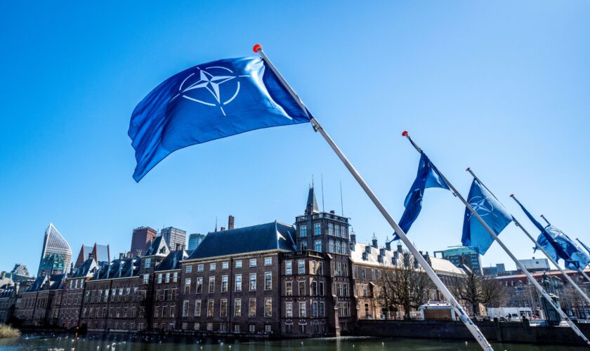 NAVO-vlaggen bij de Hofvijver in Den Haag