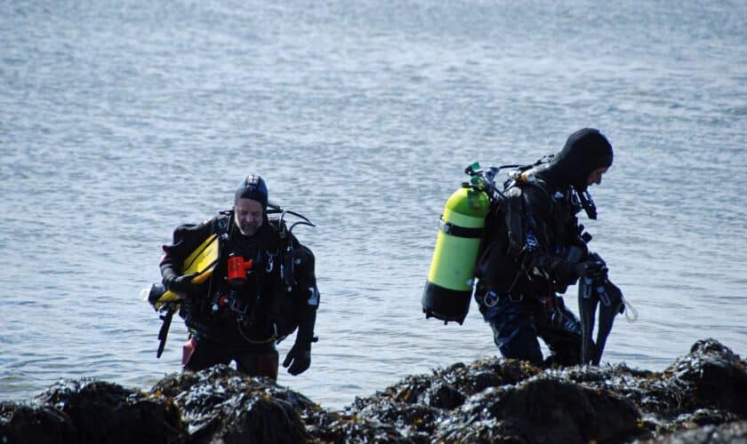 Duikers bij Burghsluis.
