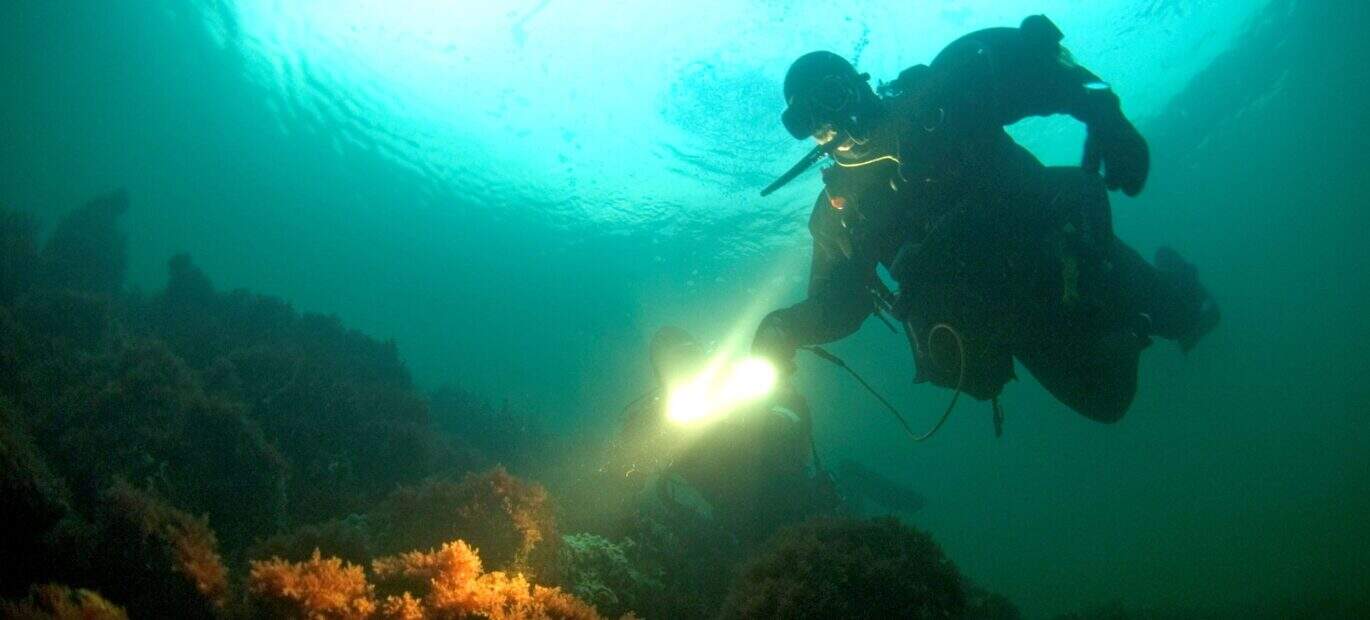 Duikers bij het Dreischor gemaal.